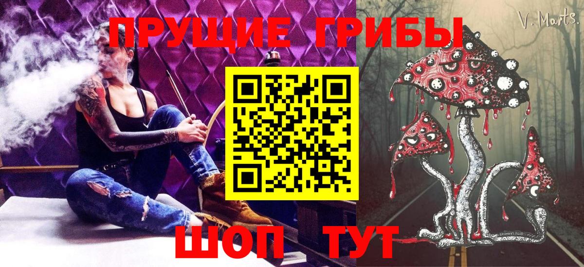 Псилоцибиновые грибы Psilocybe Людиново